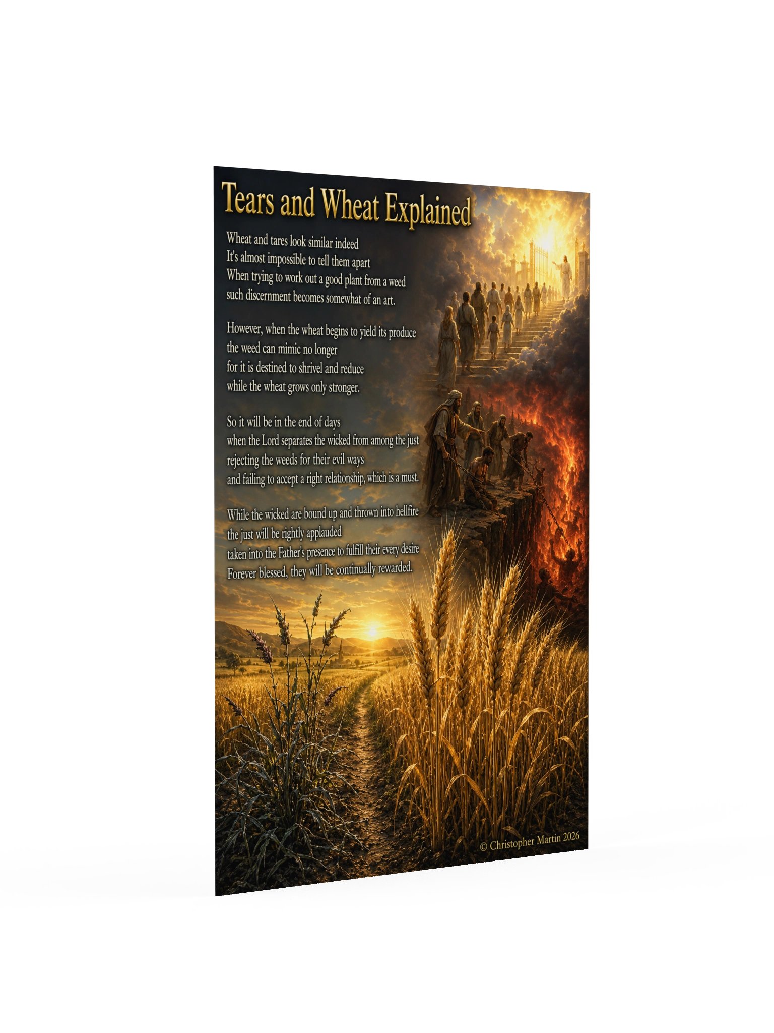 Tares and wheat explained product image (2)