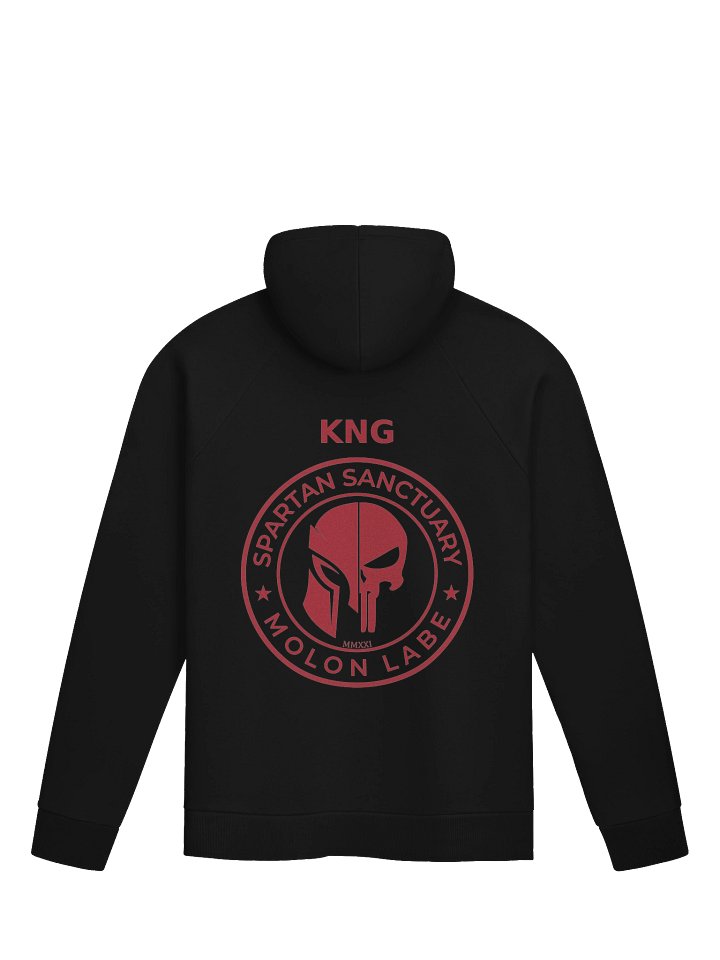 TEAM Hoodie - KNG product image (2)