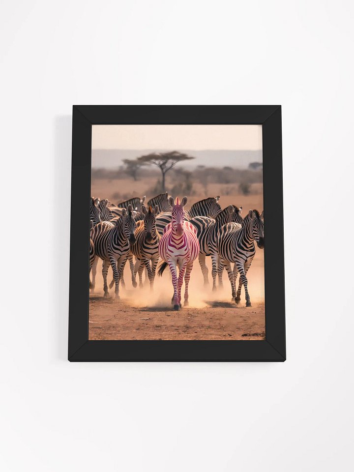 Stand Out Zebra Framed Poster product image (2)