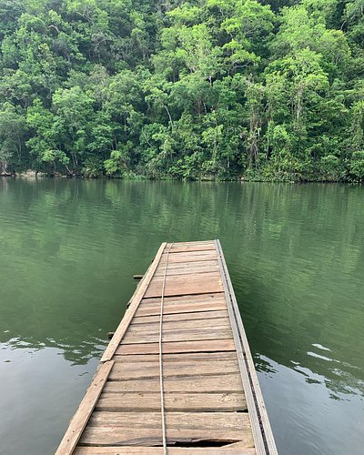 Random river dock 🌱 
#water #river #nature #cuba #plants #shotoniphone #shotoniphonexr #docksession