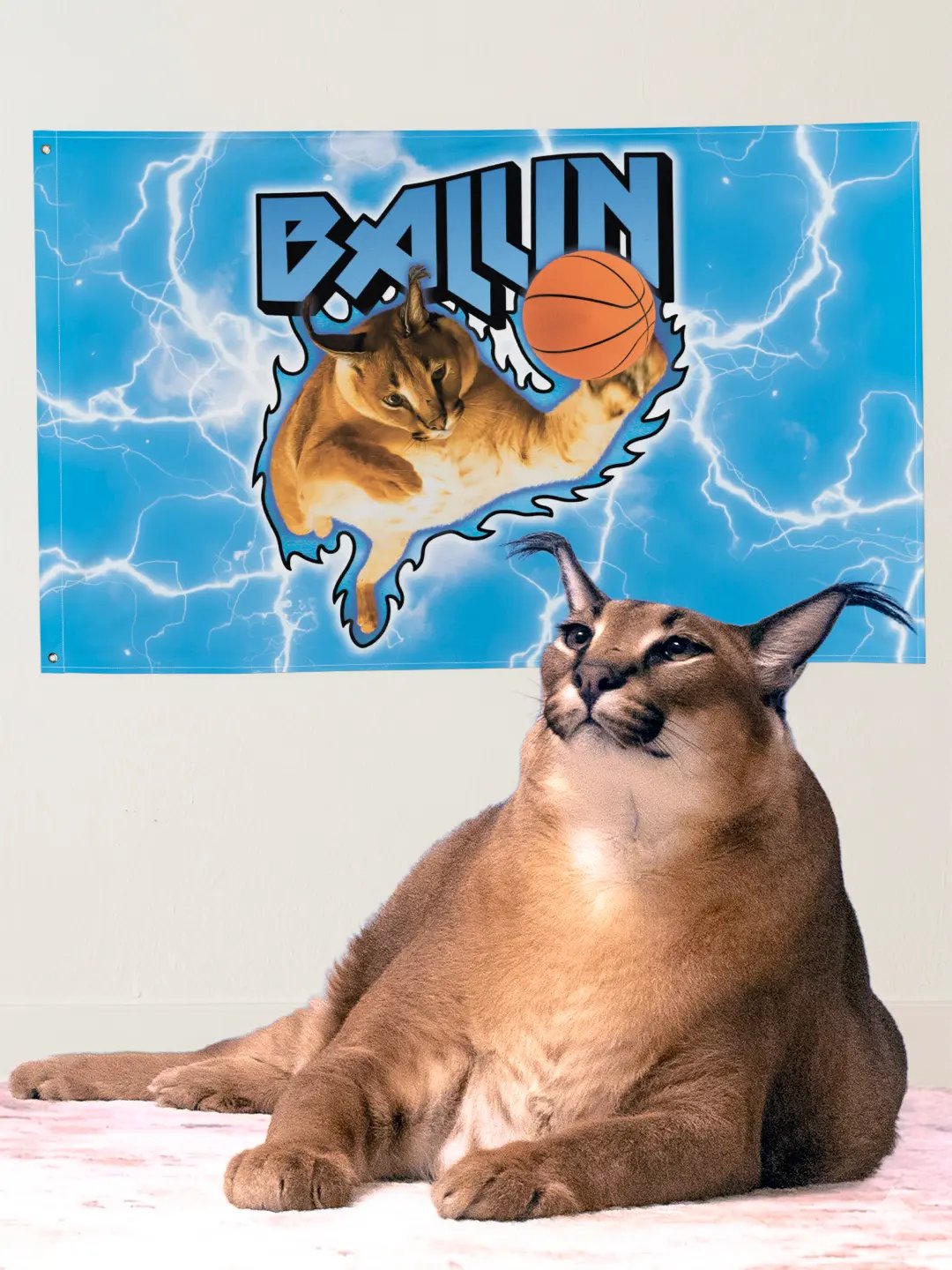 "BALLIN" BIG FLOPPA GOSHA'S FLAG product image (1)