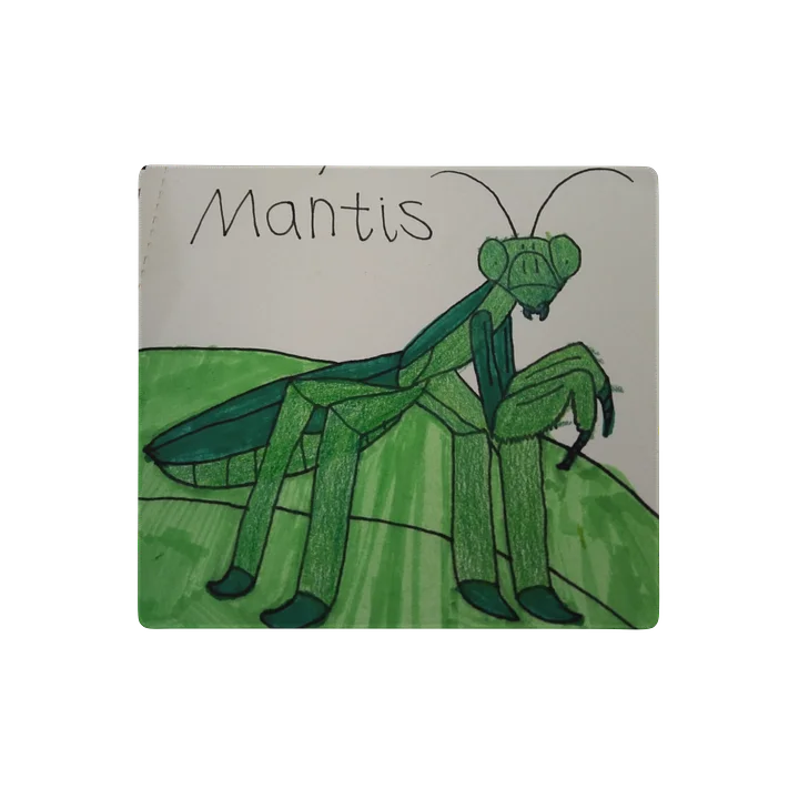 Pray mantis Gaming Mouse Pad product image (1)