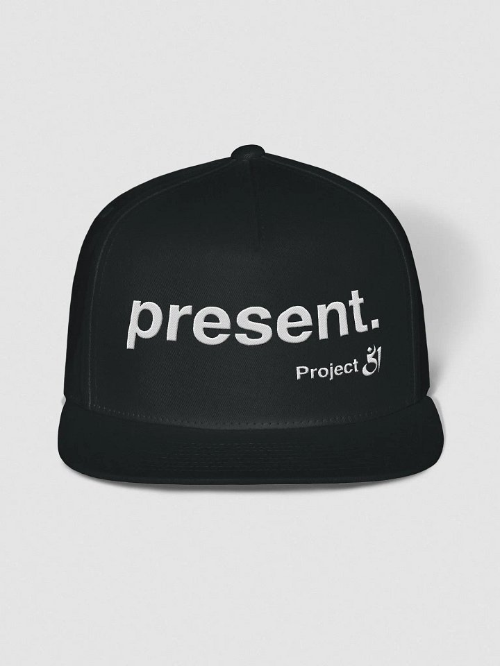present. Snapback product image (1)