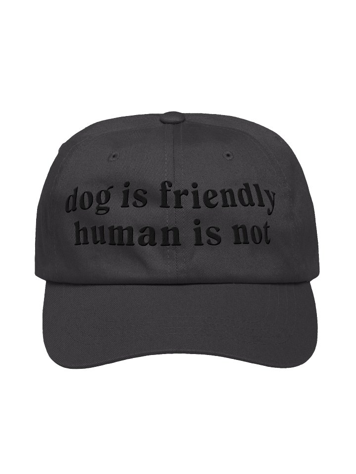 Dog Is Friendly. Human Is Not Classic Dad Hat(Embroidered) Low Contrast(Black) product image (1)