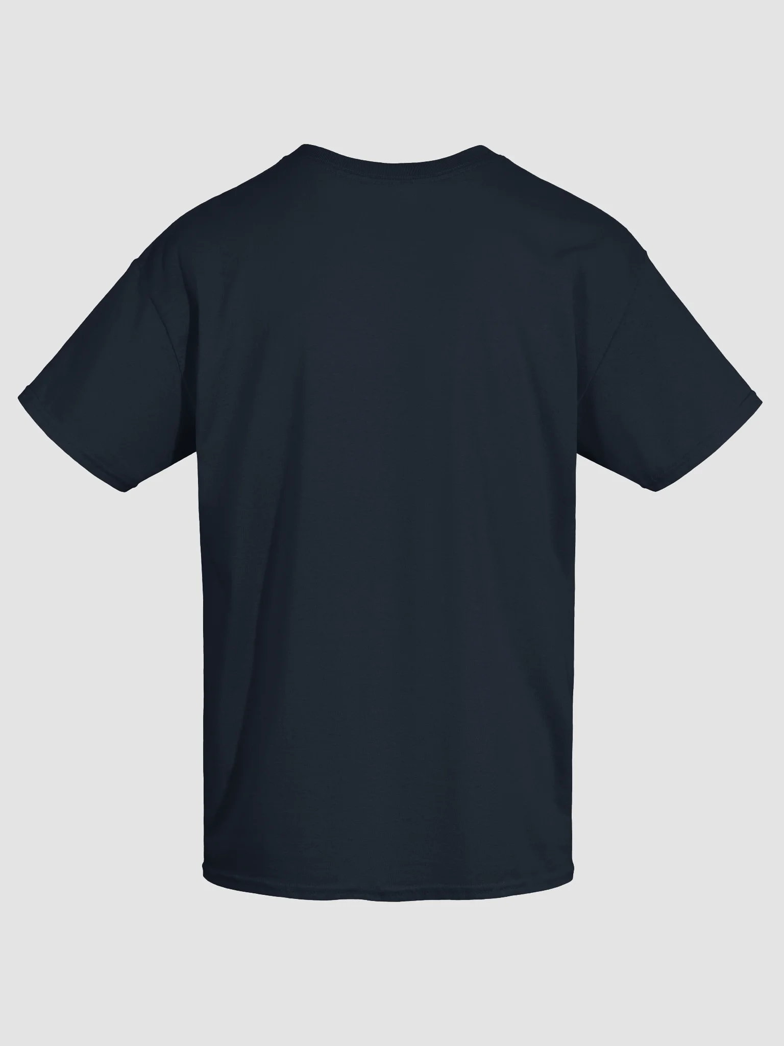 Arctic Valley - Regular T-shirt product image (16)