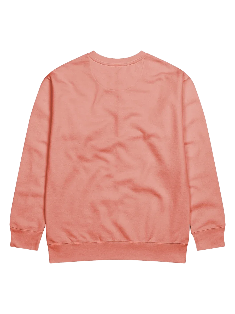 I Understand the Assignment Kamala Harris 2024 Election Day Sweatshirt product image (2)