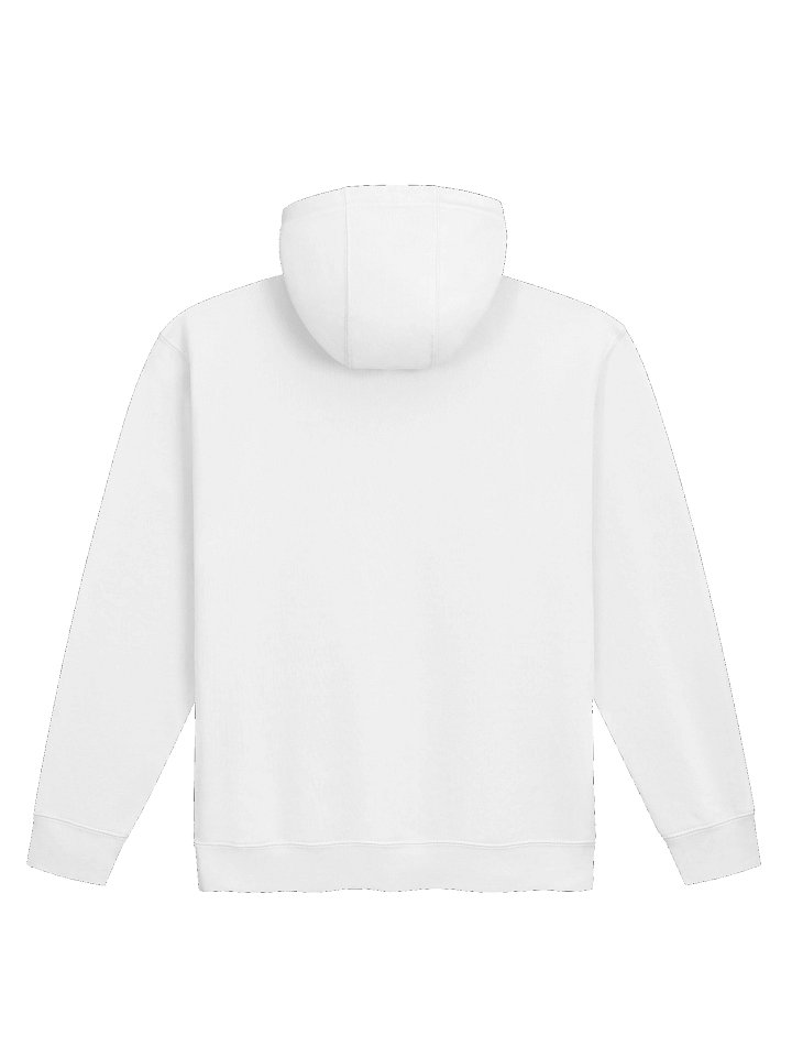 The Earth is not Flat hoodie product image (26)