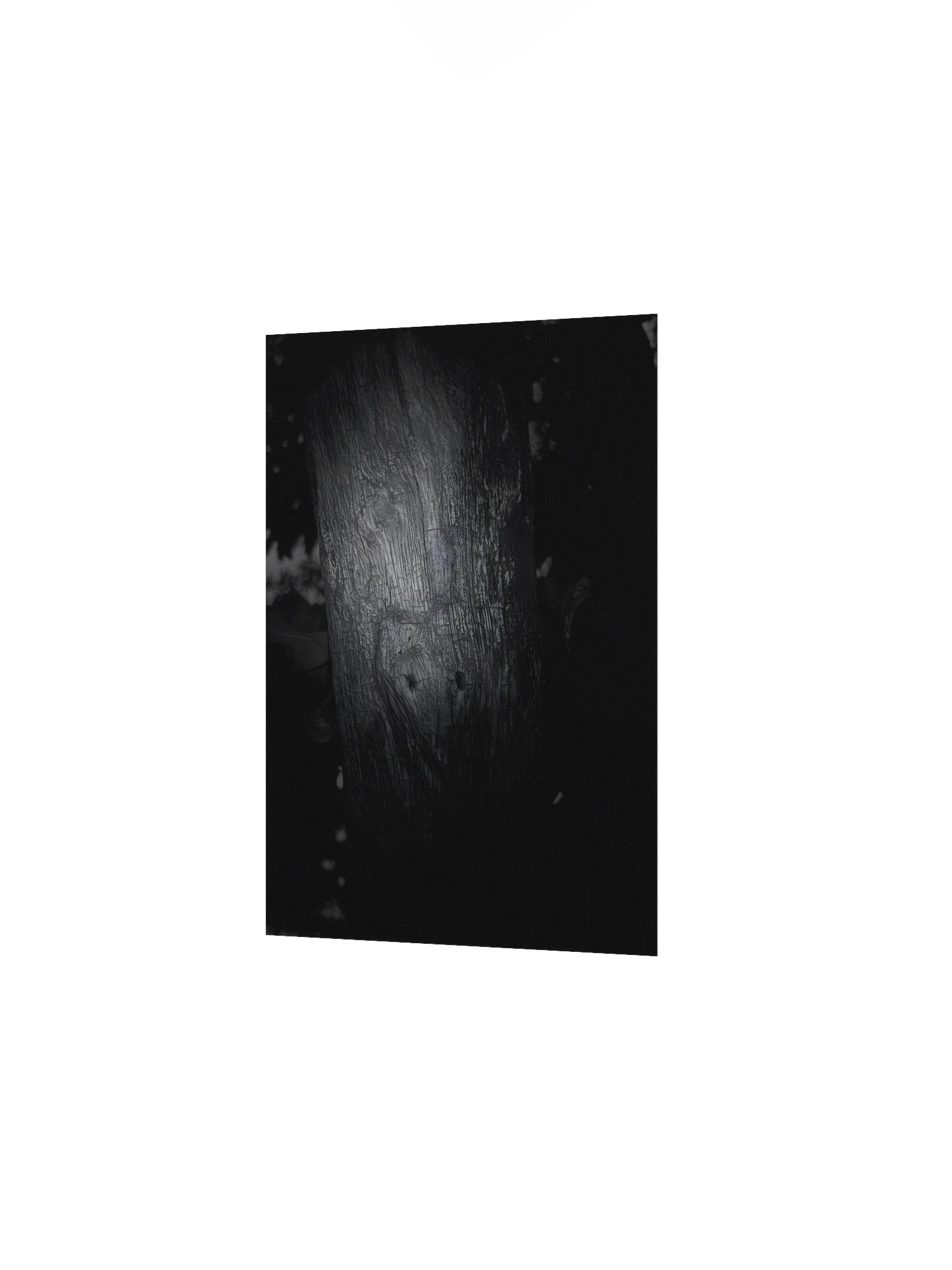 The carving (real image) poster product image (11)