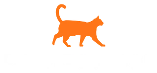 Pumpkin's Pool