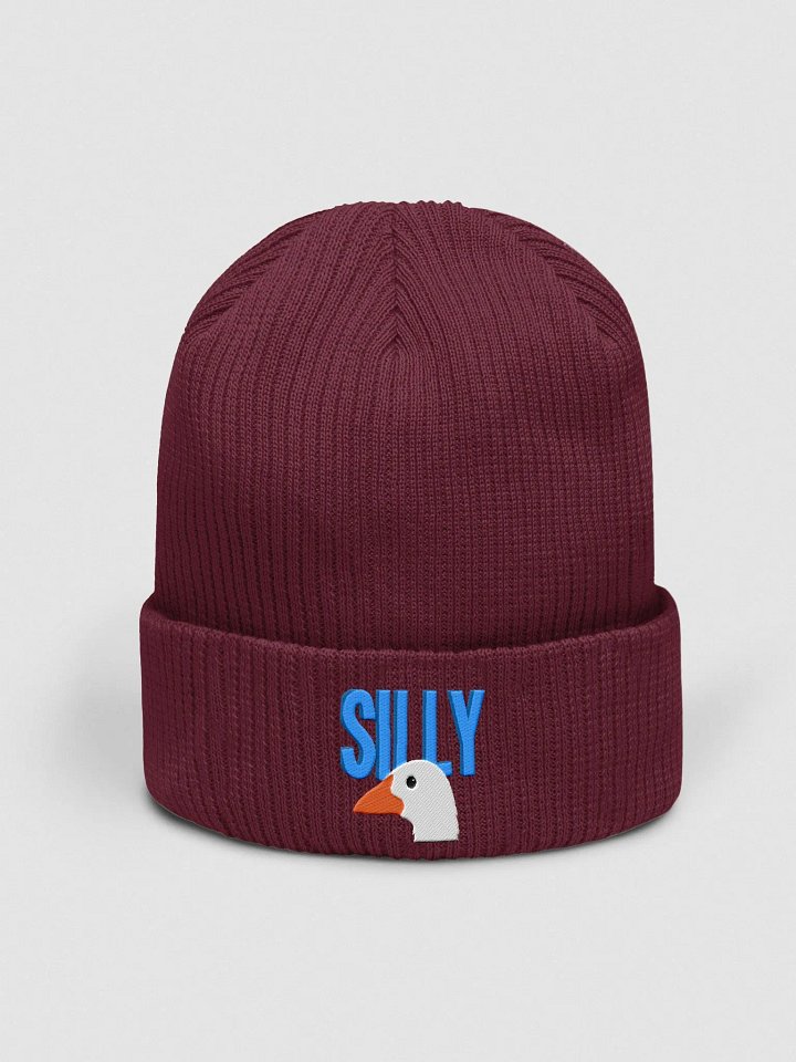Silly Goose Beanie product image (1)