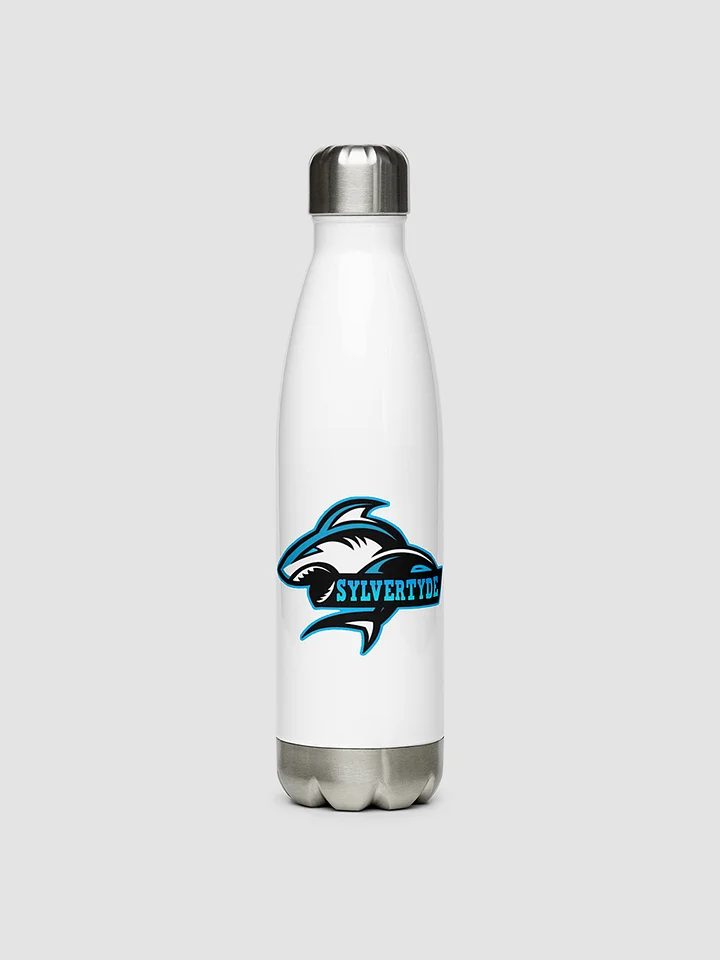 Sylver's Stainless Steel Water Bottle product image (1)