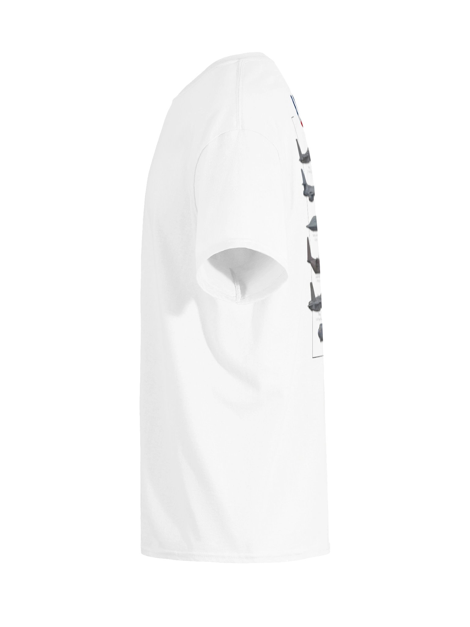 American Birds Back product image (9)