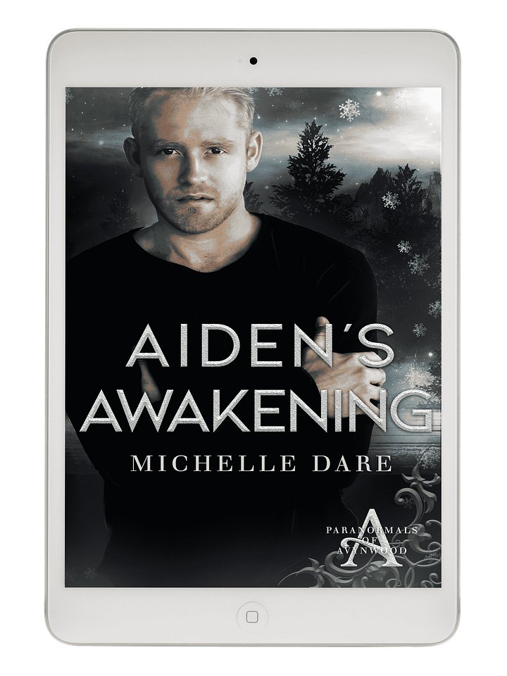 Aiden’s Awakening product image (1)