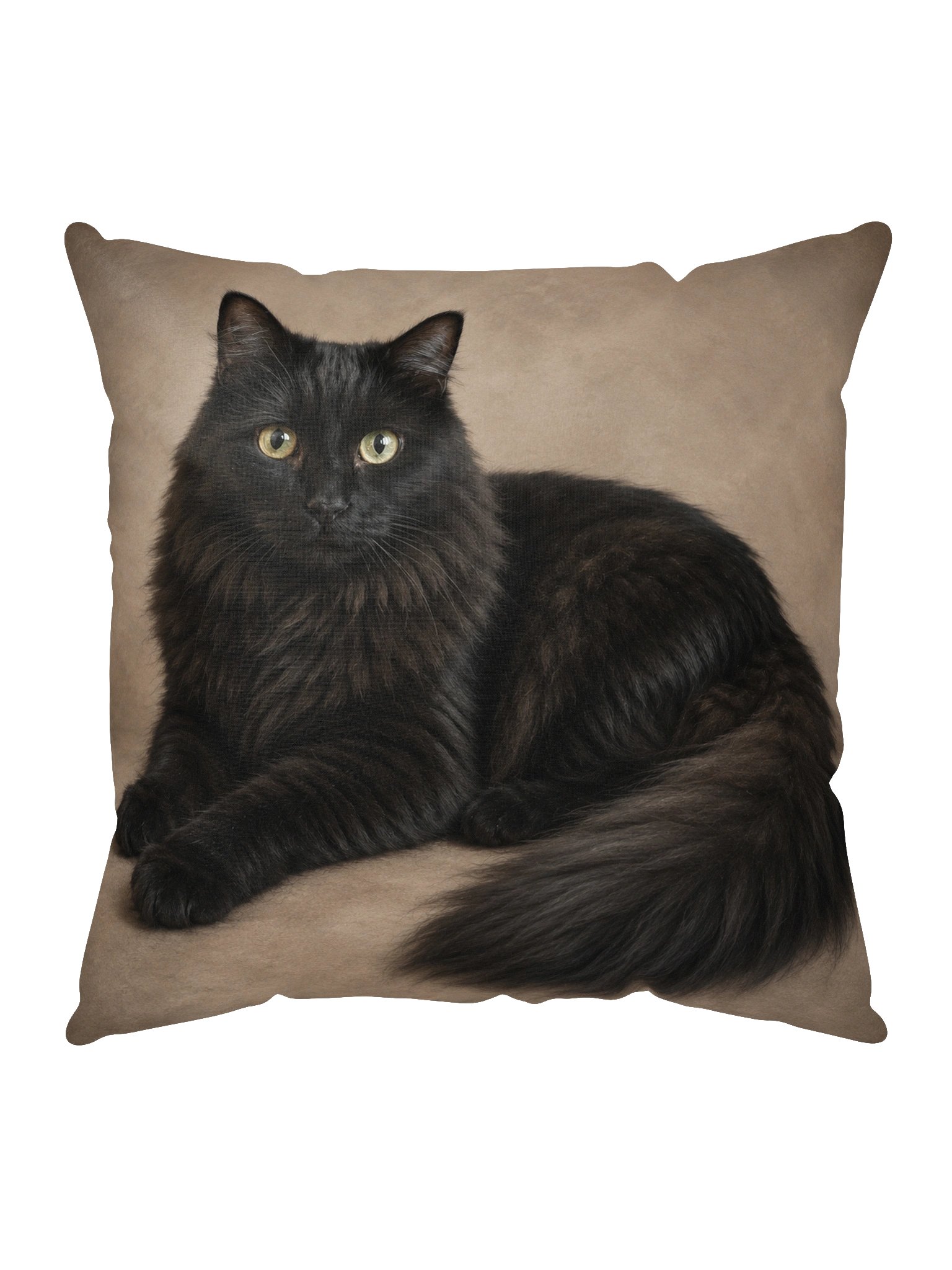 Because...Brutus Throw Pillow product image (1)