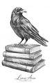 Raven on Books
