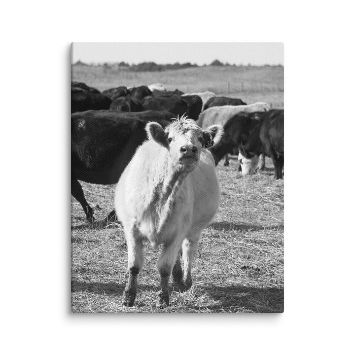 Studying You Canvas Print product image (2)