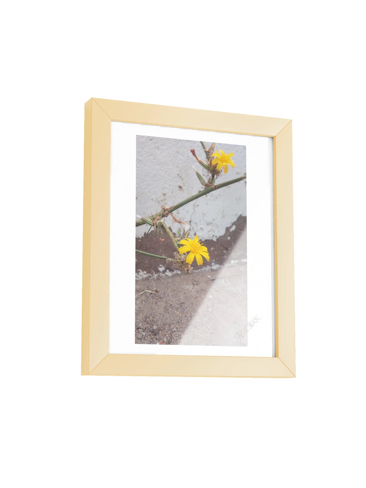 SDPD - Fine Art Matte Poster product image (15)