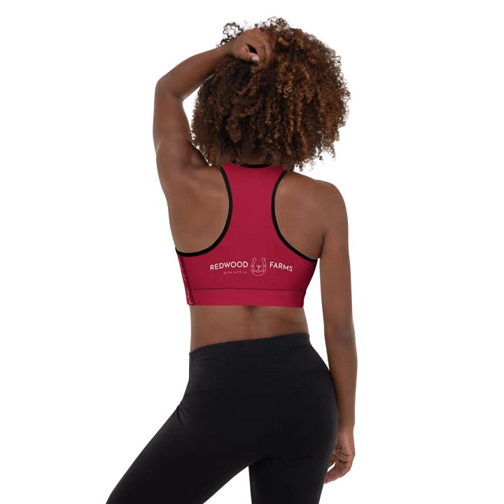 All about the Sports Bra product image (1)