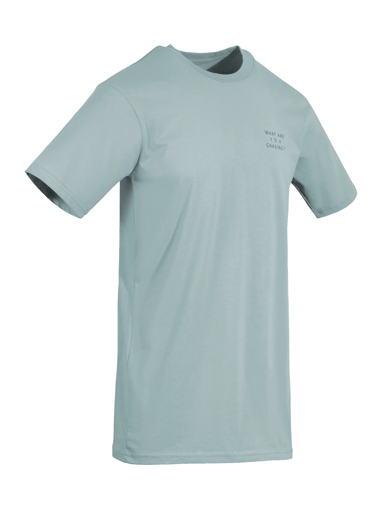 Men's What Are You Chasing? Heavyweight Statement Tee product image (8)