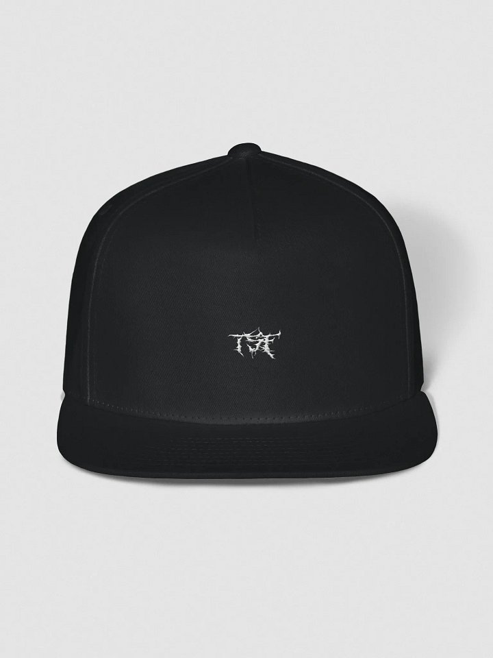 TSF snap back product image (1)