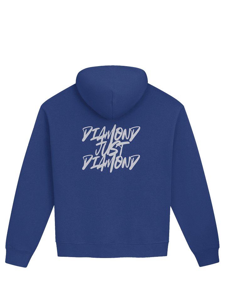 DJD hoodie product image (2)