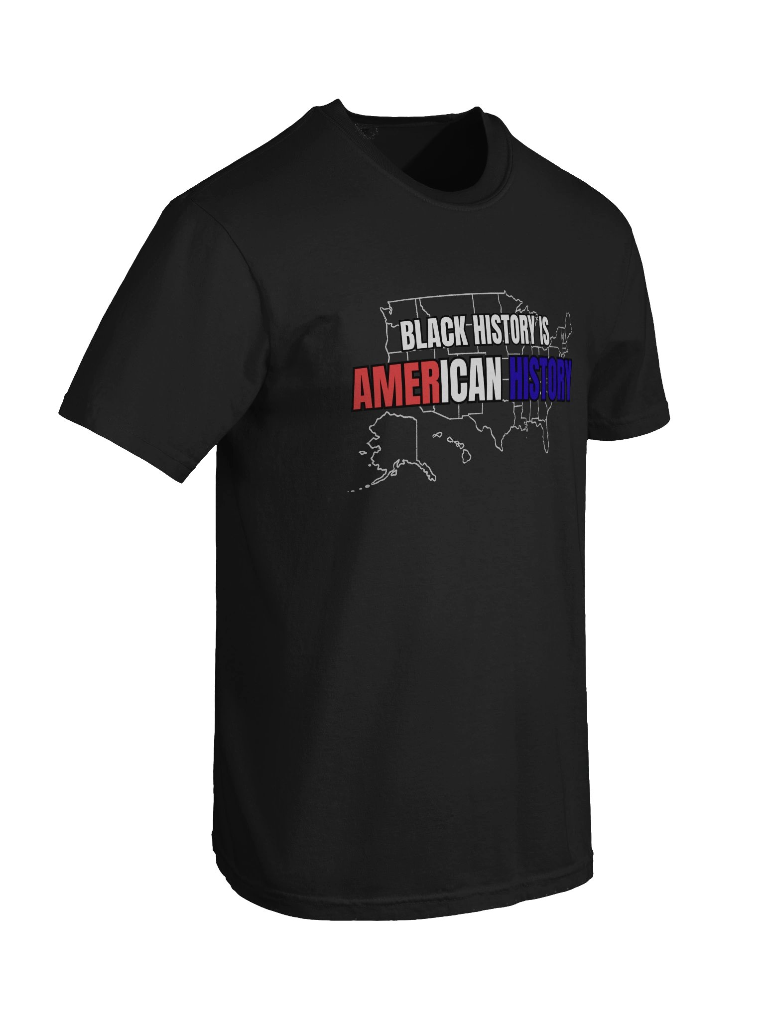 American History product image (8)