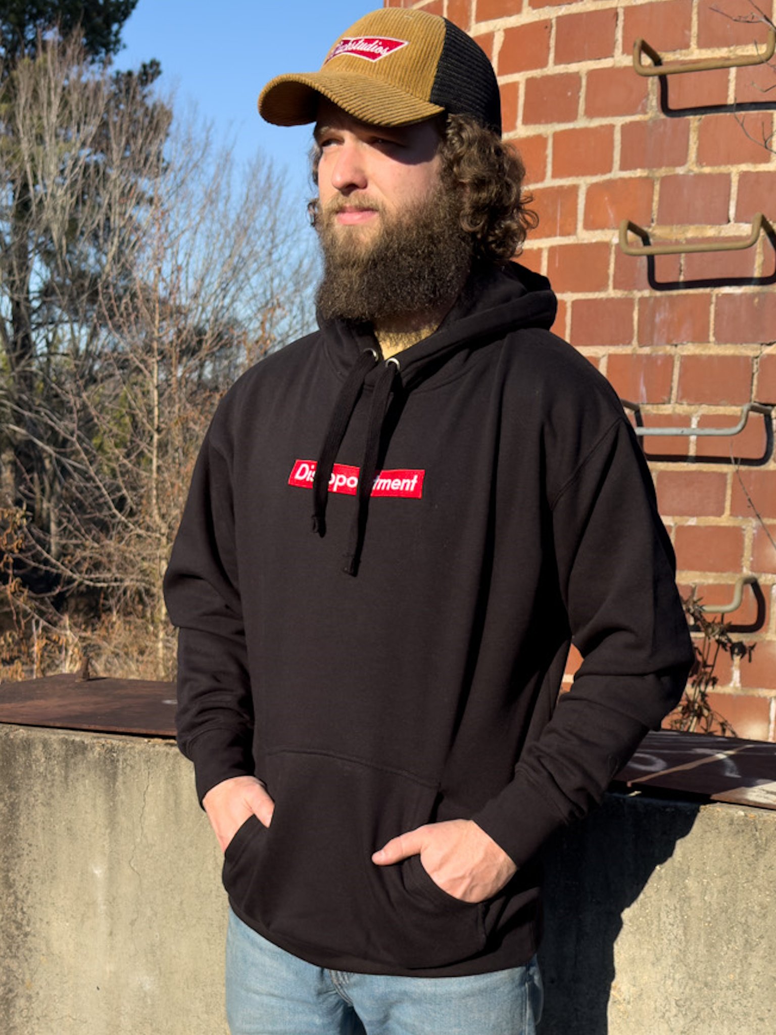 Disappointment | Embroidered Hoodie product image (2)