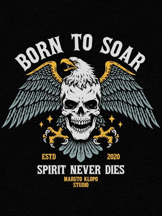 Born to Soar product image (2)