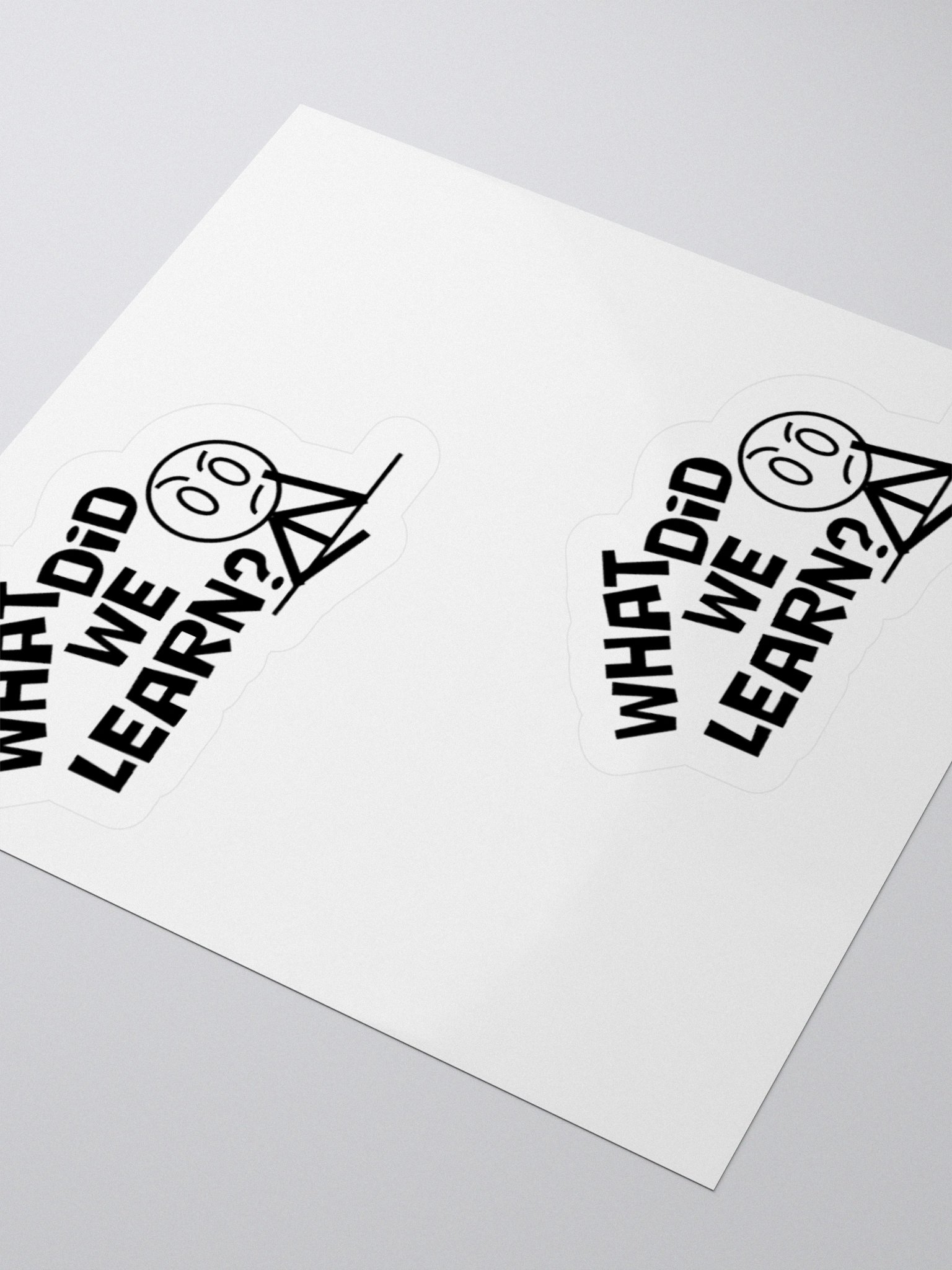 What did we learn stickers product image (3)