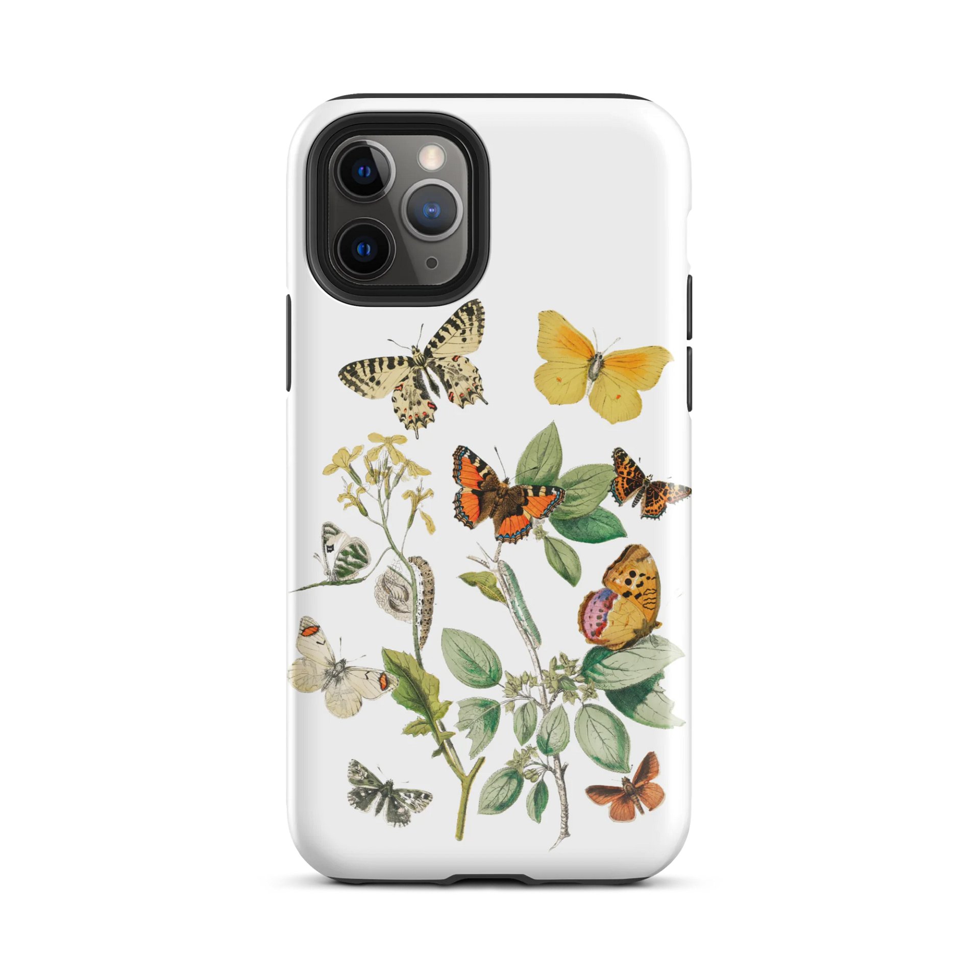 European Butterflies iPhone® Tough Case product image (57)