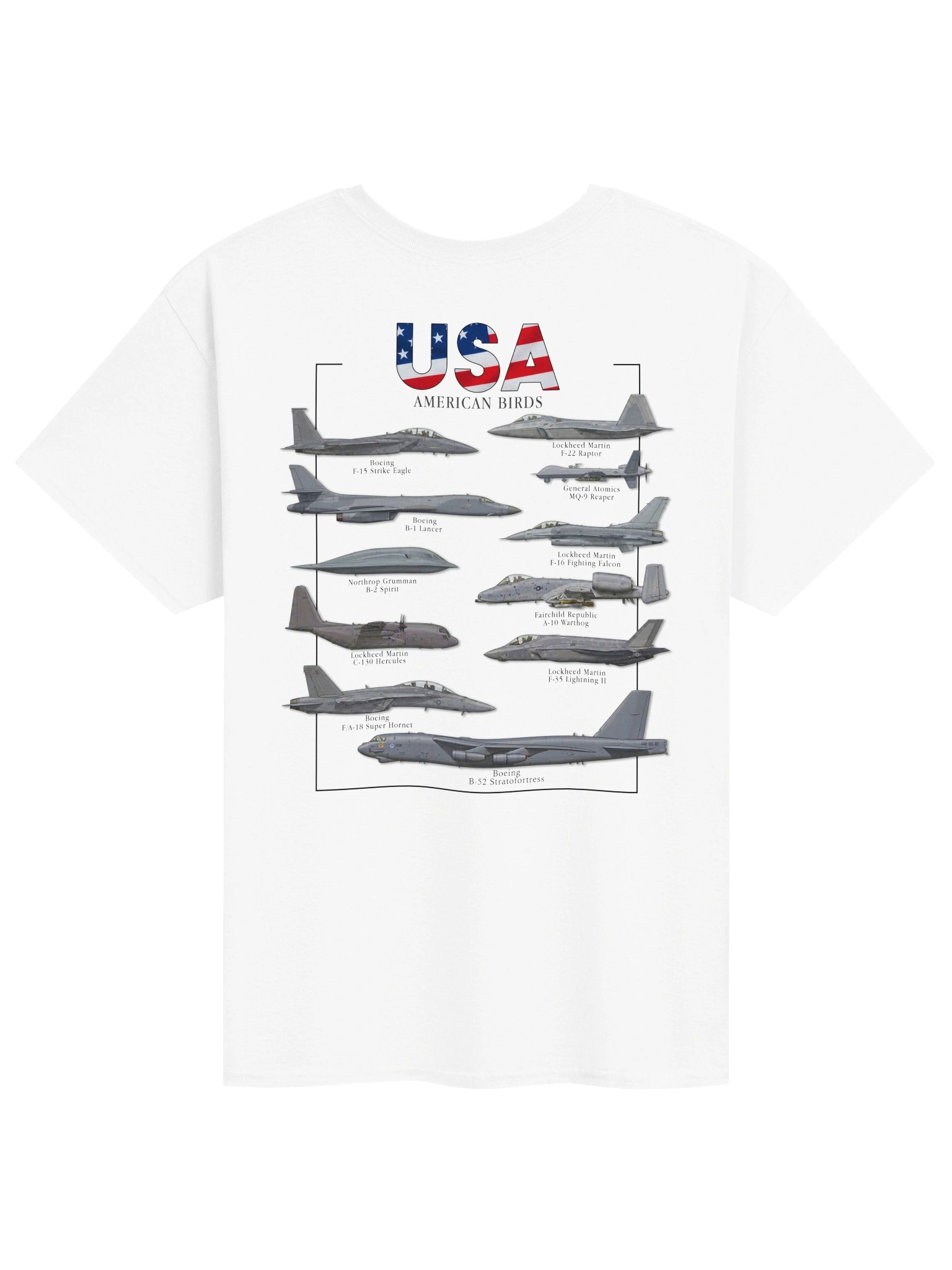 American Birds Back product image (2)