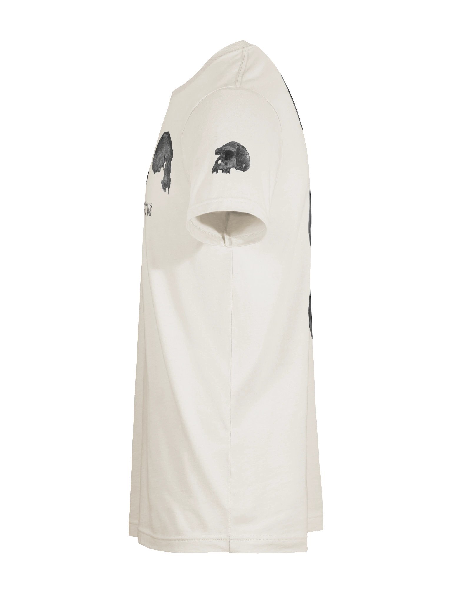 Erectus Fossil Skull T-Shirt Light product image (64)