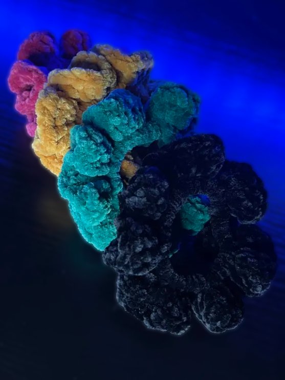Paradise Scrunchie Set product image (3)