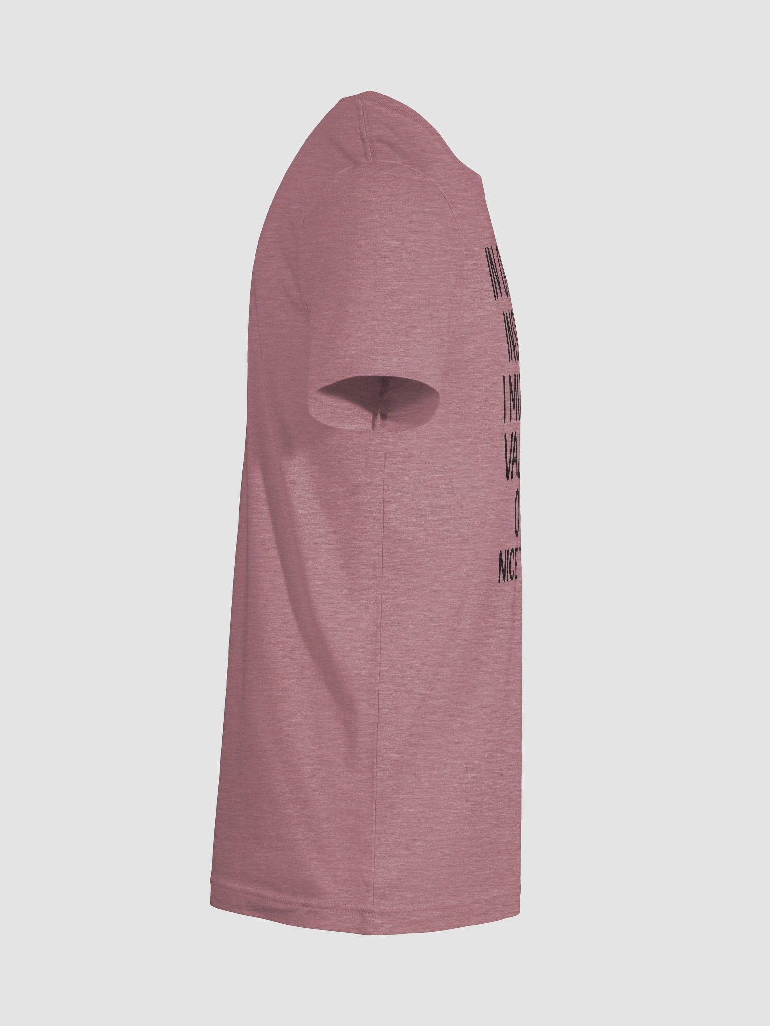 In Order to Insult Me I Must First Value Your Opinion – Funny T-Shirt product image (12)