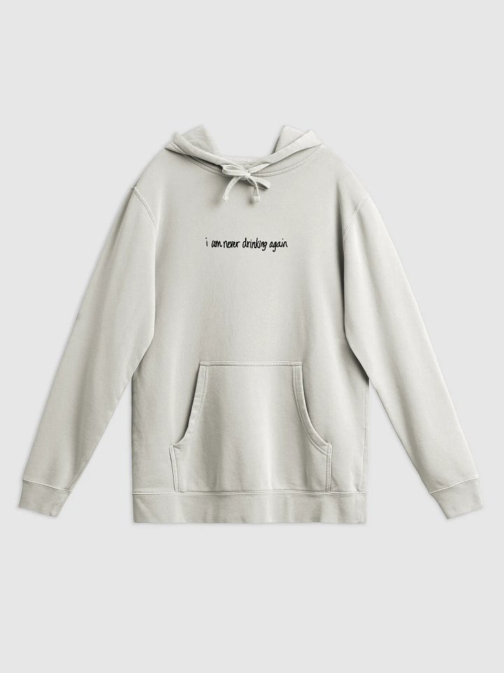 i am never drinking again product image (1)