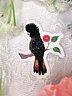 Red Tailed Black Cockatoo Vinyl Sticker