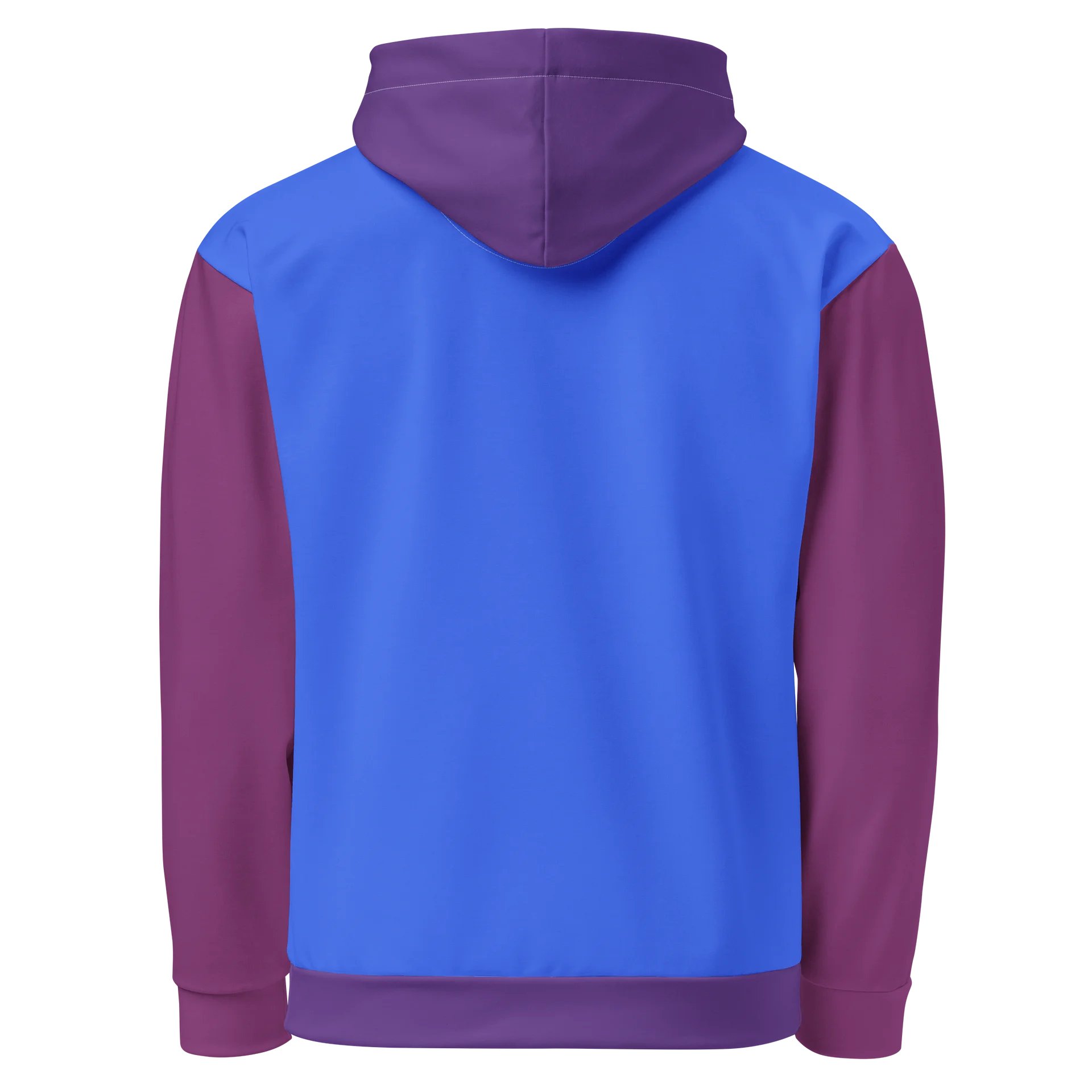 The Official Color Block Hoodie product image (3)