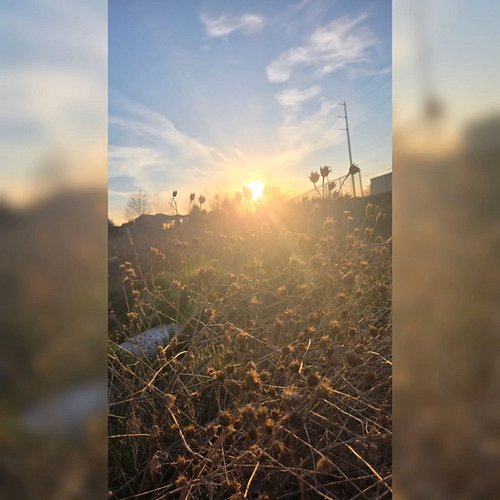 Did you know that I absolutely LOVE nature and everything that comes along with it? 

You'll often catch me taking snapshots ...