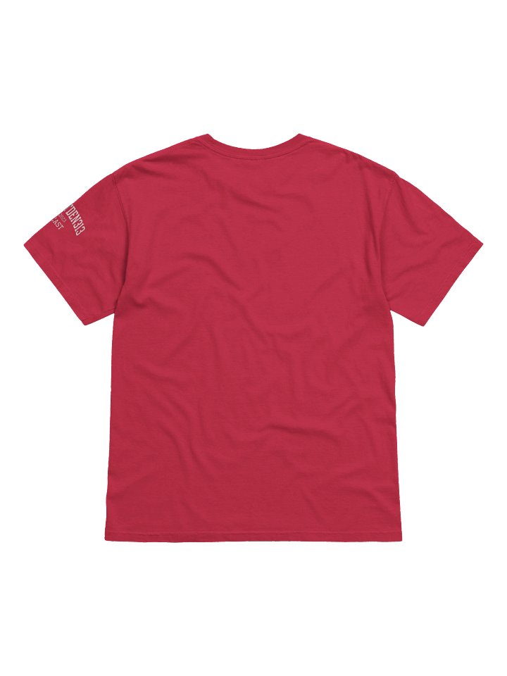 DetroitDen313 2026 Draft Shield Tee product image (2)