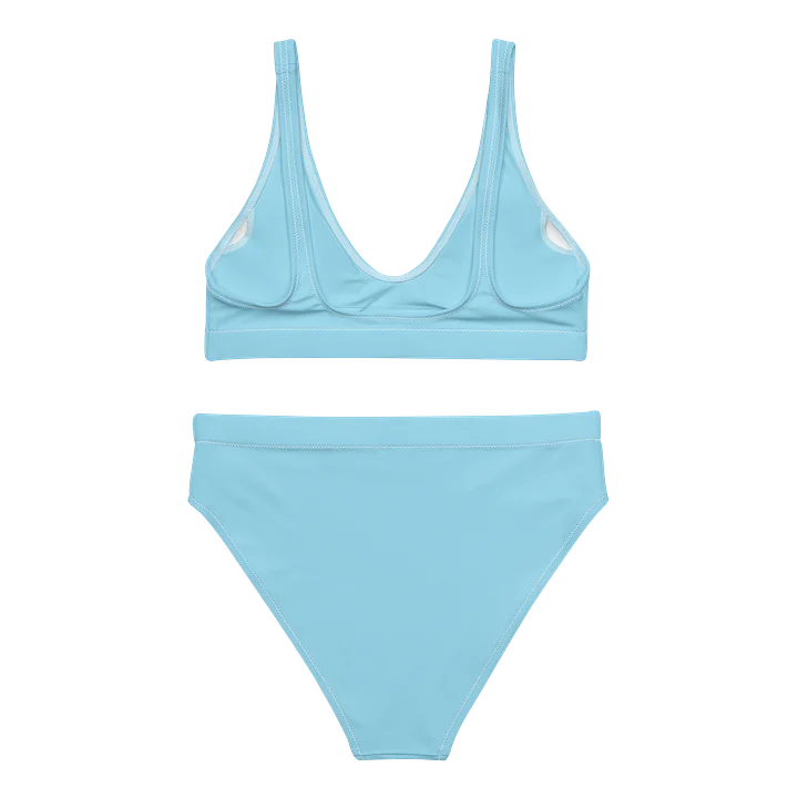 Bikini product image (2)
