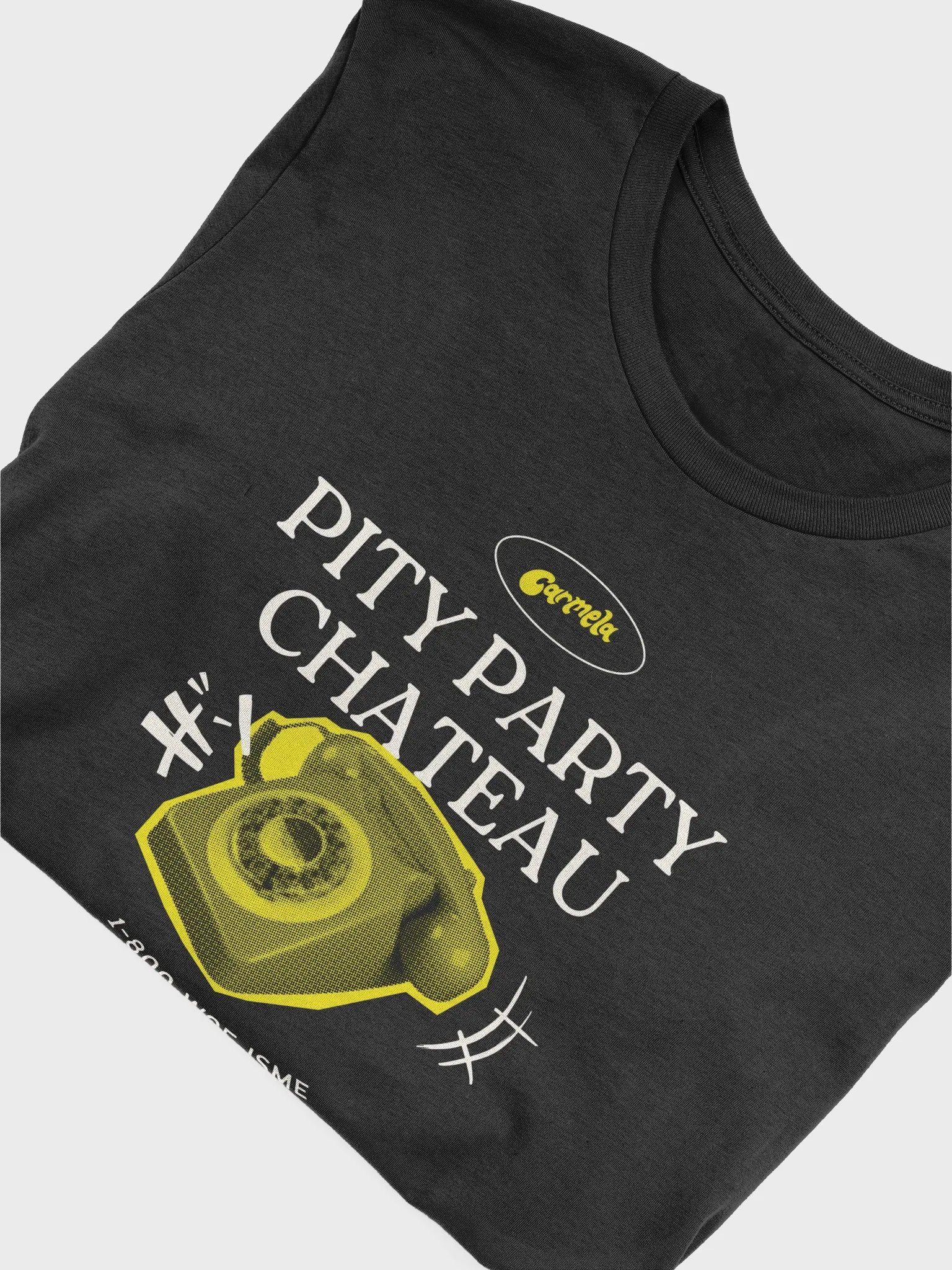 Pity Party Chateau T-Shirt product image (5)