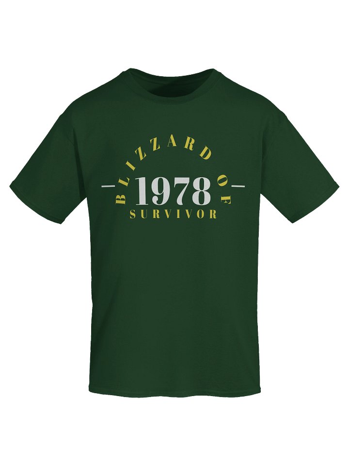 Blizzard of 1978 Survivor Gildan Heavyweight T-Shirt product image (1)