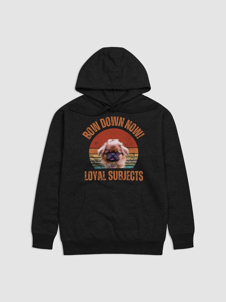 Rainbow Reign Pekingese Unisex Hoodie product image (1)