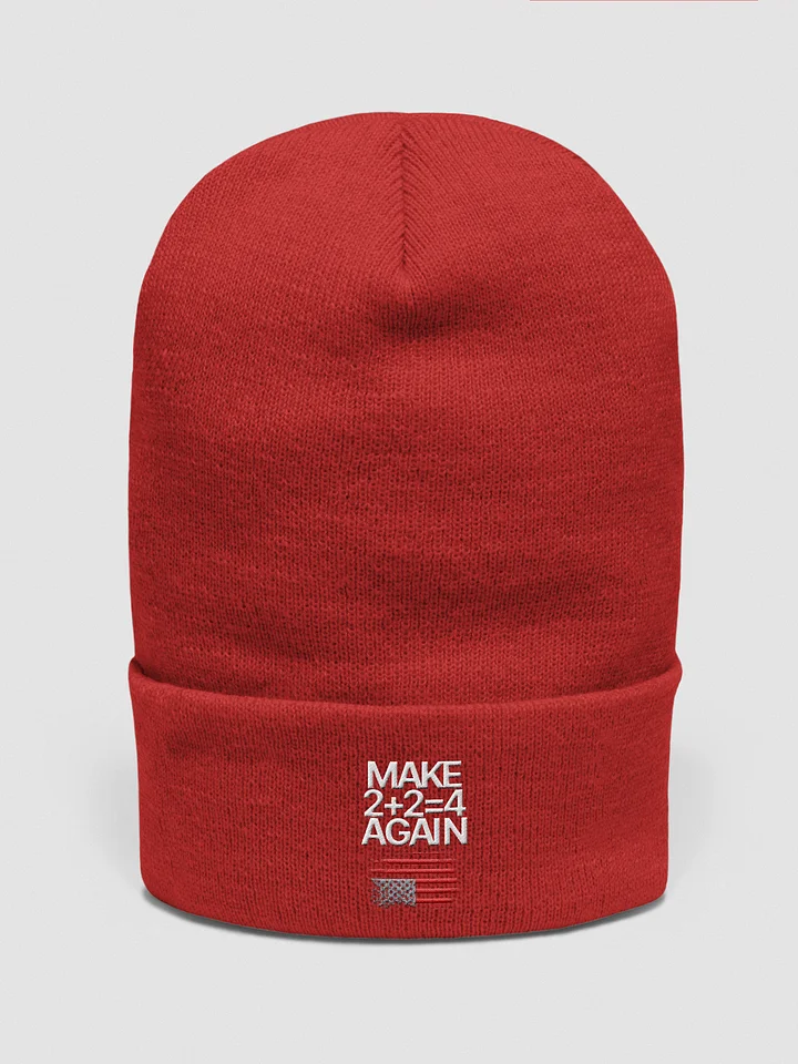 Make 2 + 2 = 4 Again Beanie | R E D product image (1)