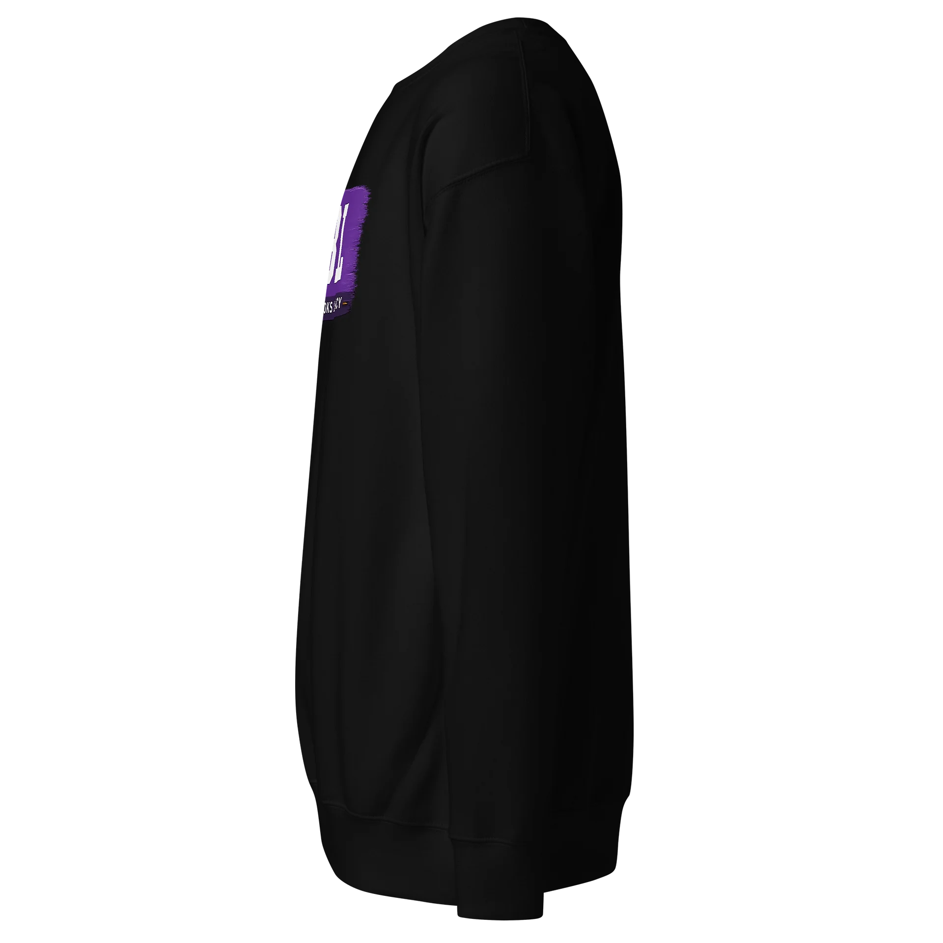 JBL Sweatshirt product image (2)