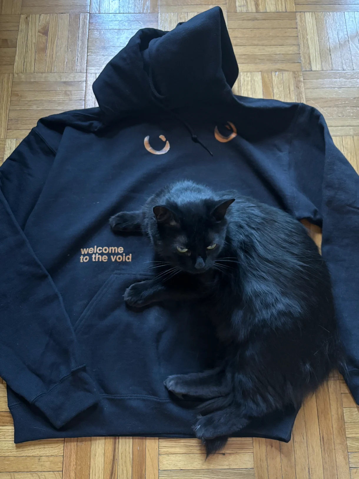 Welcome to the void hoodie 🐈‍⬛ product image (1)
