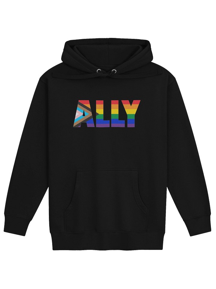 HOODIE - ALLY PRIDE product image (1)