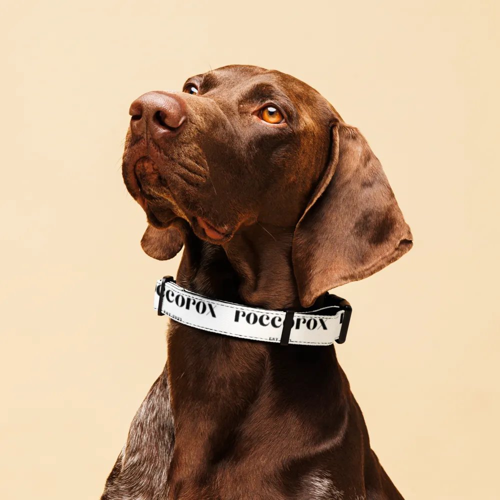 RoccoRox Dog Collar White Size Large product image (2)