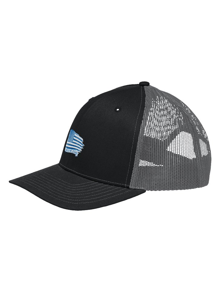 United We Stand Style 2 product image (2)