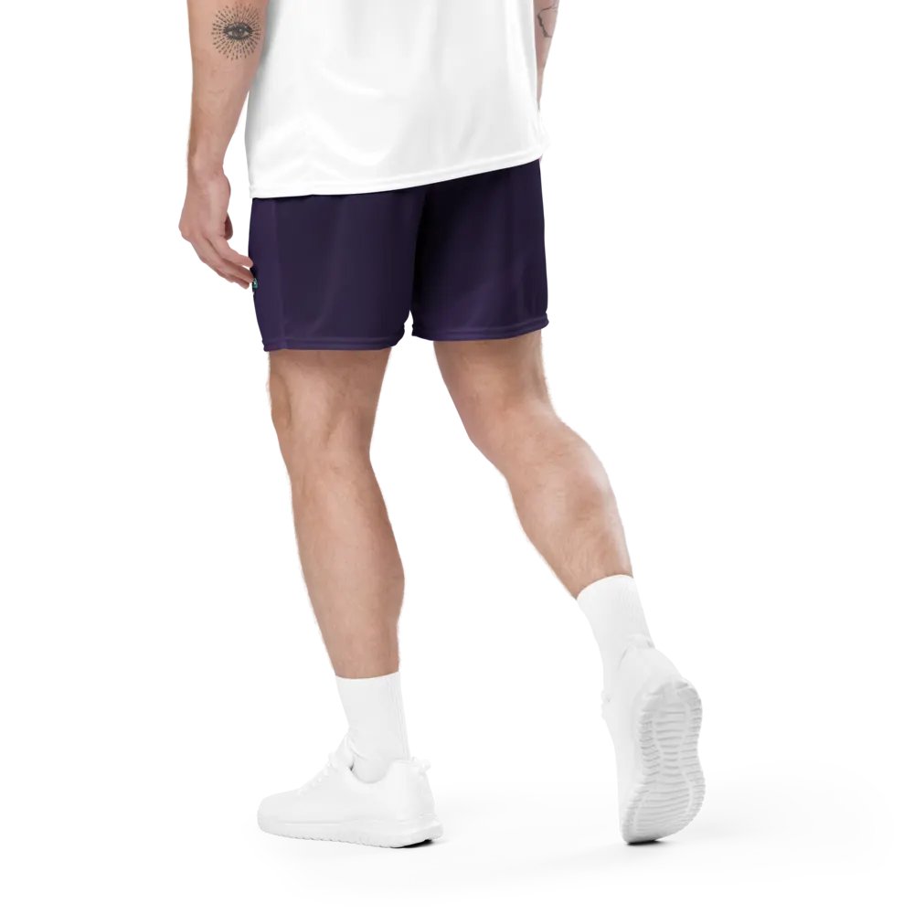 Logo Mesh Shorts product image (4)